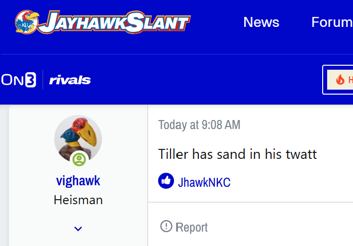Message Board Geniuses tweet media