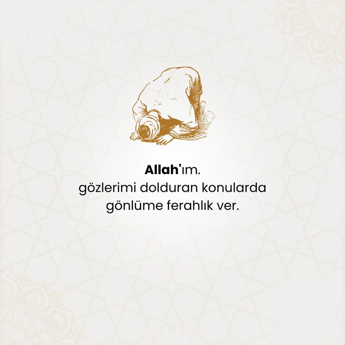 SifaDualari's tweet photo. https://t.co/WtrwwedU38