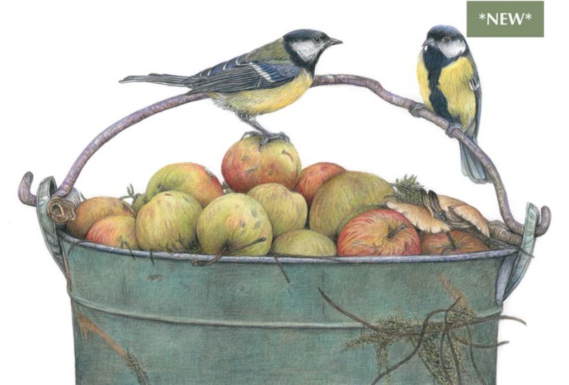studio22artz's tweet image. Nothing new to post so I’m sharing one of my newer Giclee prints. It took a long time to draw all those apples as well as the two birds. #art #drawing #birds