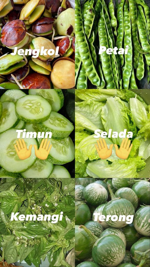 orang biasa tweet media