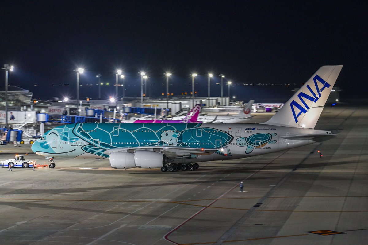 iFormulaX3's tweet photo. 2026.4.16
ANA181
NGO✈︎NRT
A380-841 JA382A

セントレアにダイバートしたホヌを撮ってきました。 https://t.co/9abKxZ1i1u