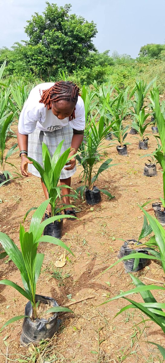 FoodsEnergy's tweet image. Lacking liquidity makes you vulnerable in the marketplace of life.
Lack of liquidity does not mean you are only #broke it means you are #Rigid and #Frozen
Think investment now, just a Dm to get started 0810-599-8348 #investingtips #wealth #wealthbuilding #wealthtips