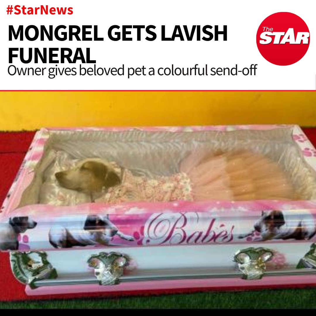 Jamaica Star tweet media