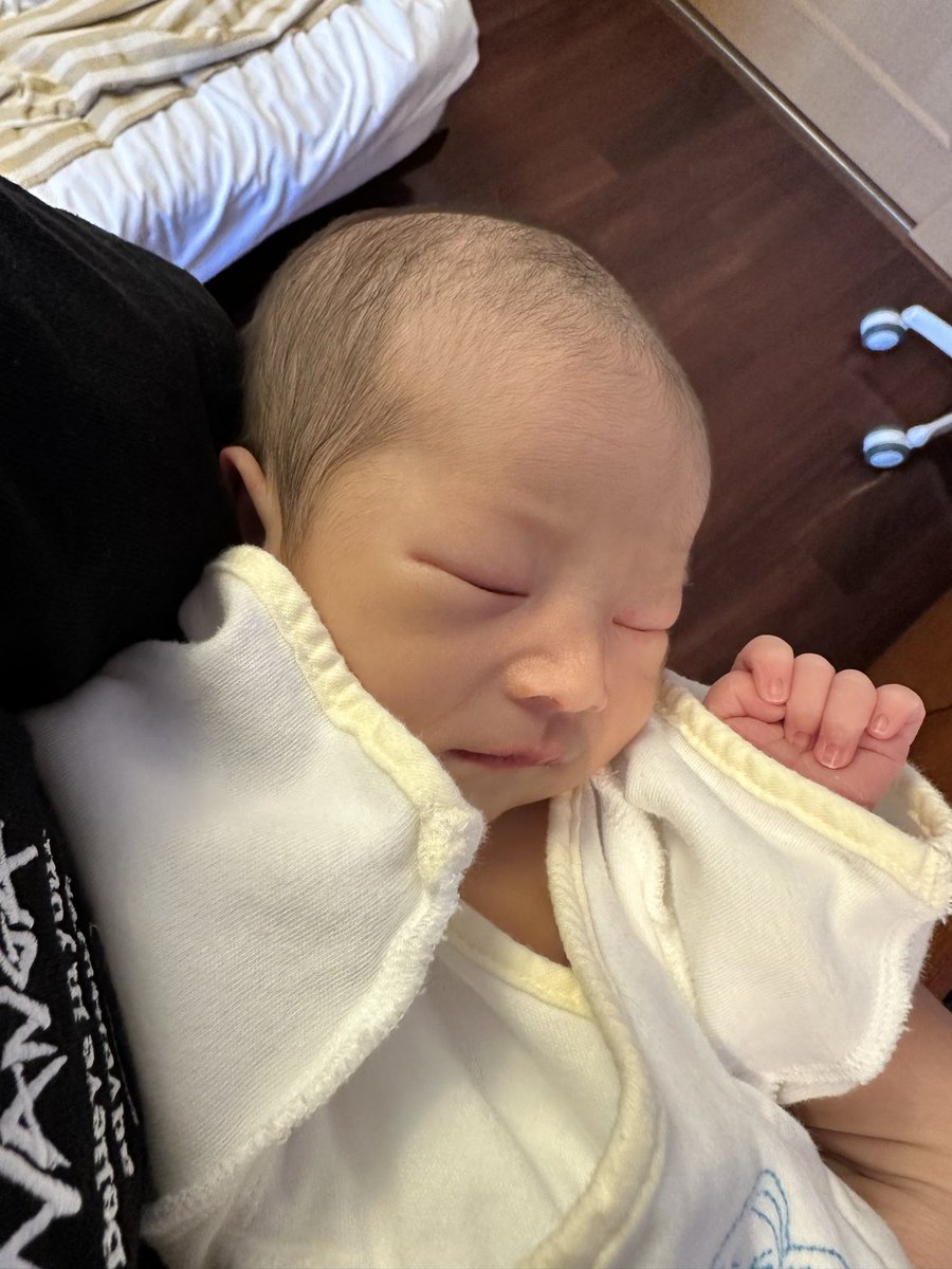 ほんまこ tweet media