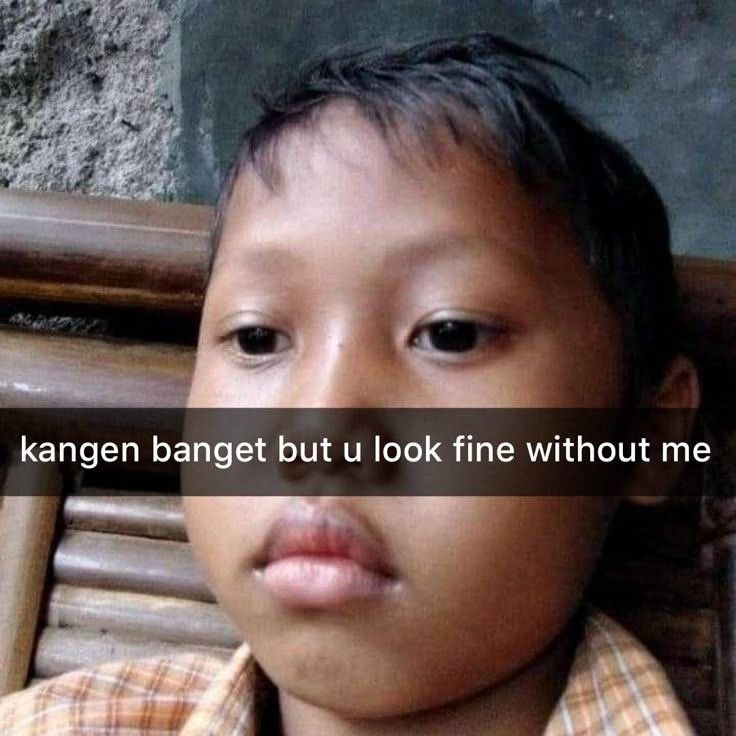 cipto KICAU KICAU KICAU MANIA tweet media