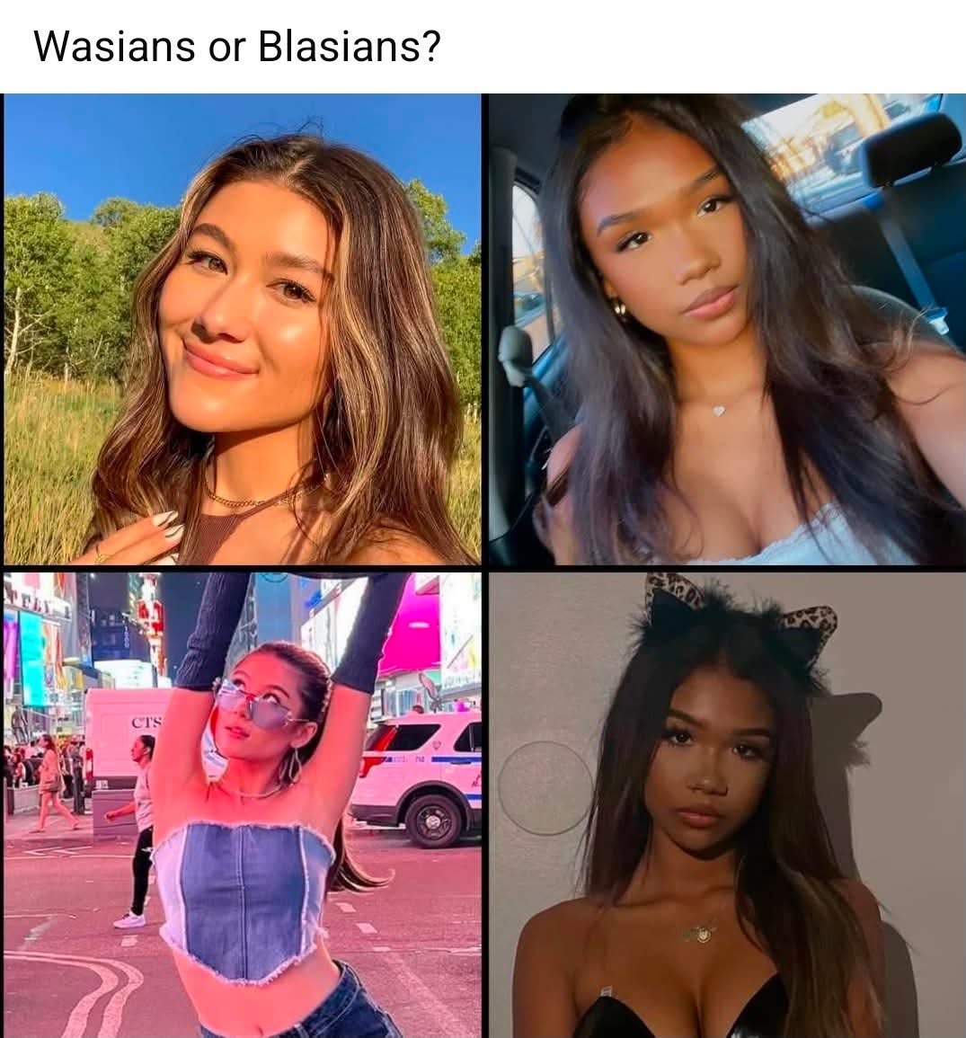 Declaration of Memes tweet media