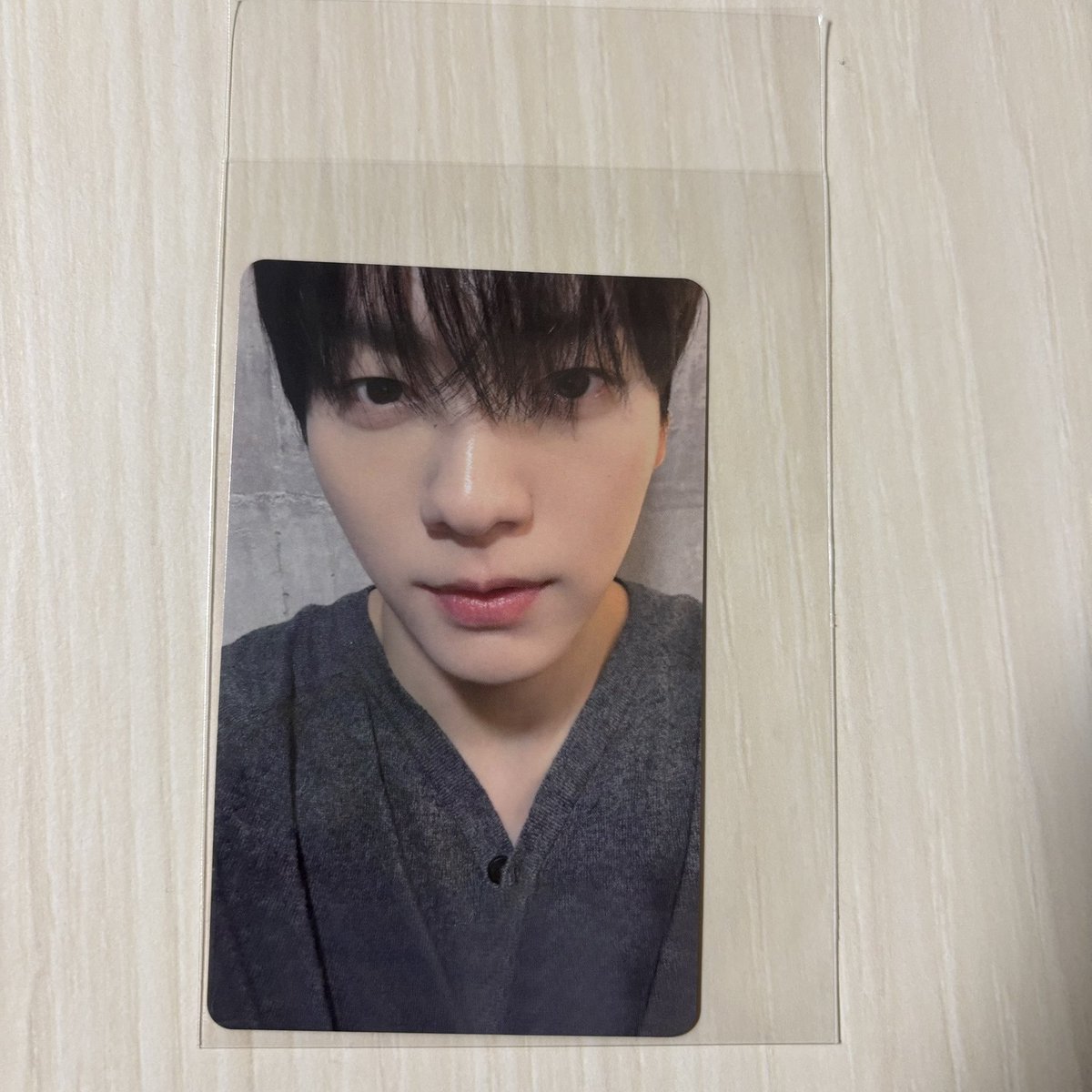 🐿🐱 tweet media