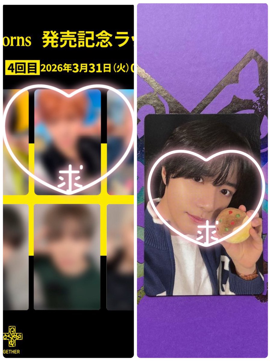 🐿🐱 tweet media