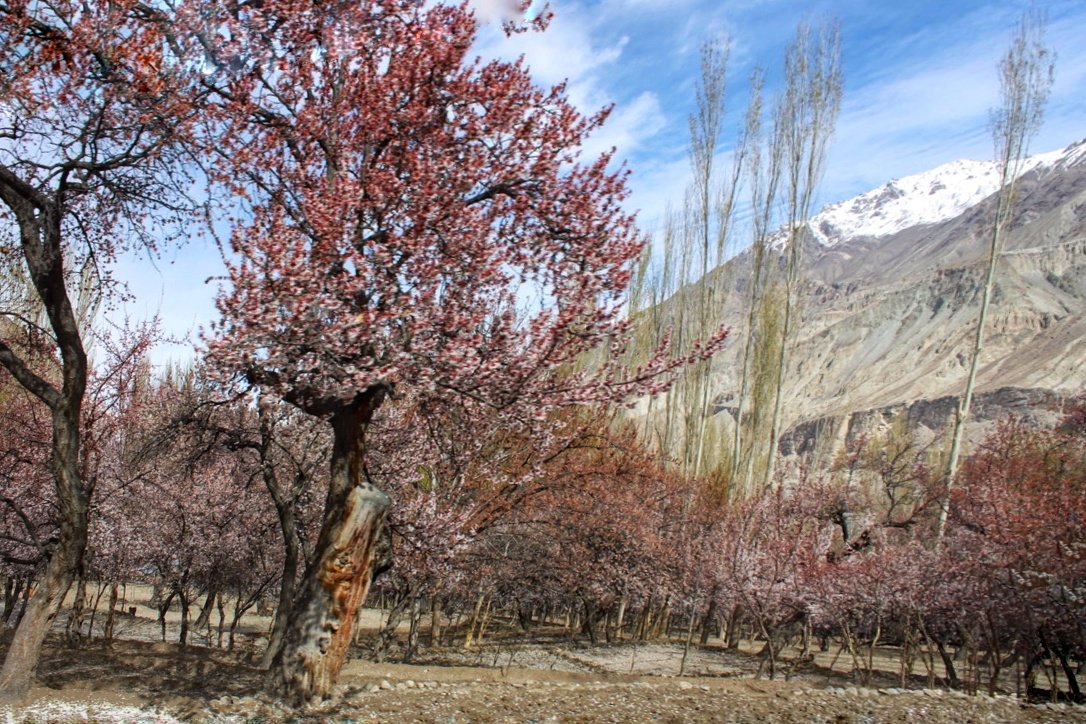 kllwlma's tweet photo. May i present you the beauty of skardu....shot on canon https://t.co/dwbjZrfM7B