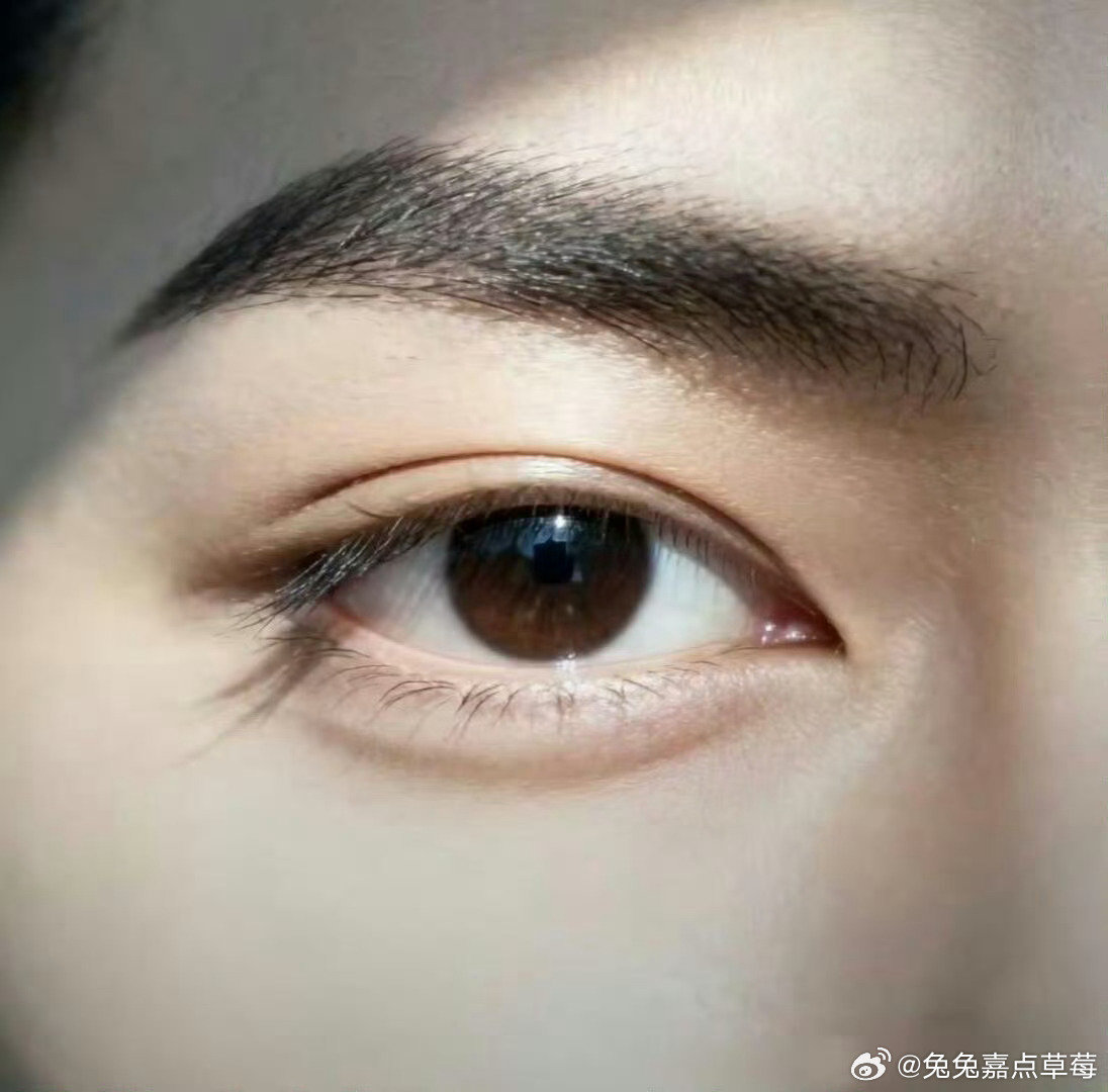 April@sukhavati tweet media