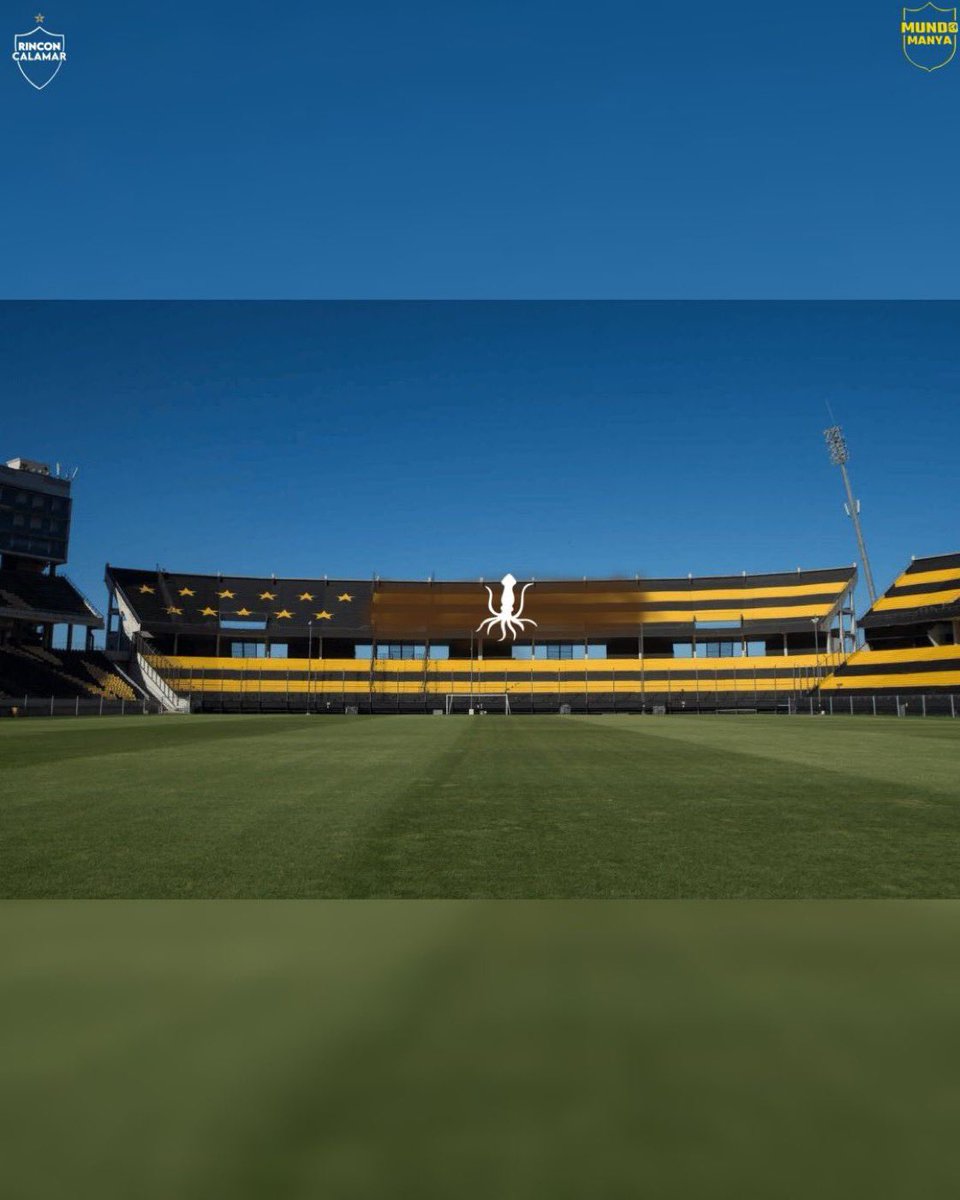 FútbolAprimeraVista tweet media