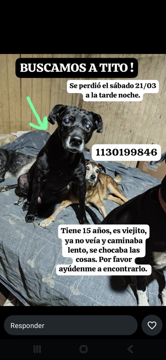 Laly 🇦🇷 tweet media