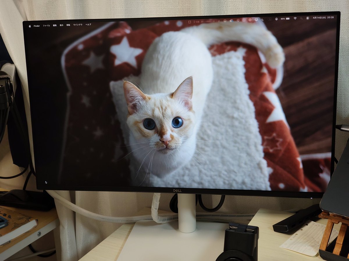 えびな🦐|自然体から”ファン”ができるLP・SNS制作デザイナー tweet media