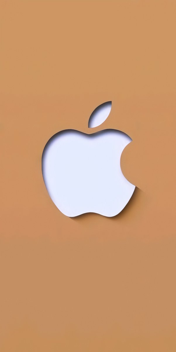 HANA_WALLZ tweet media