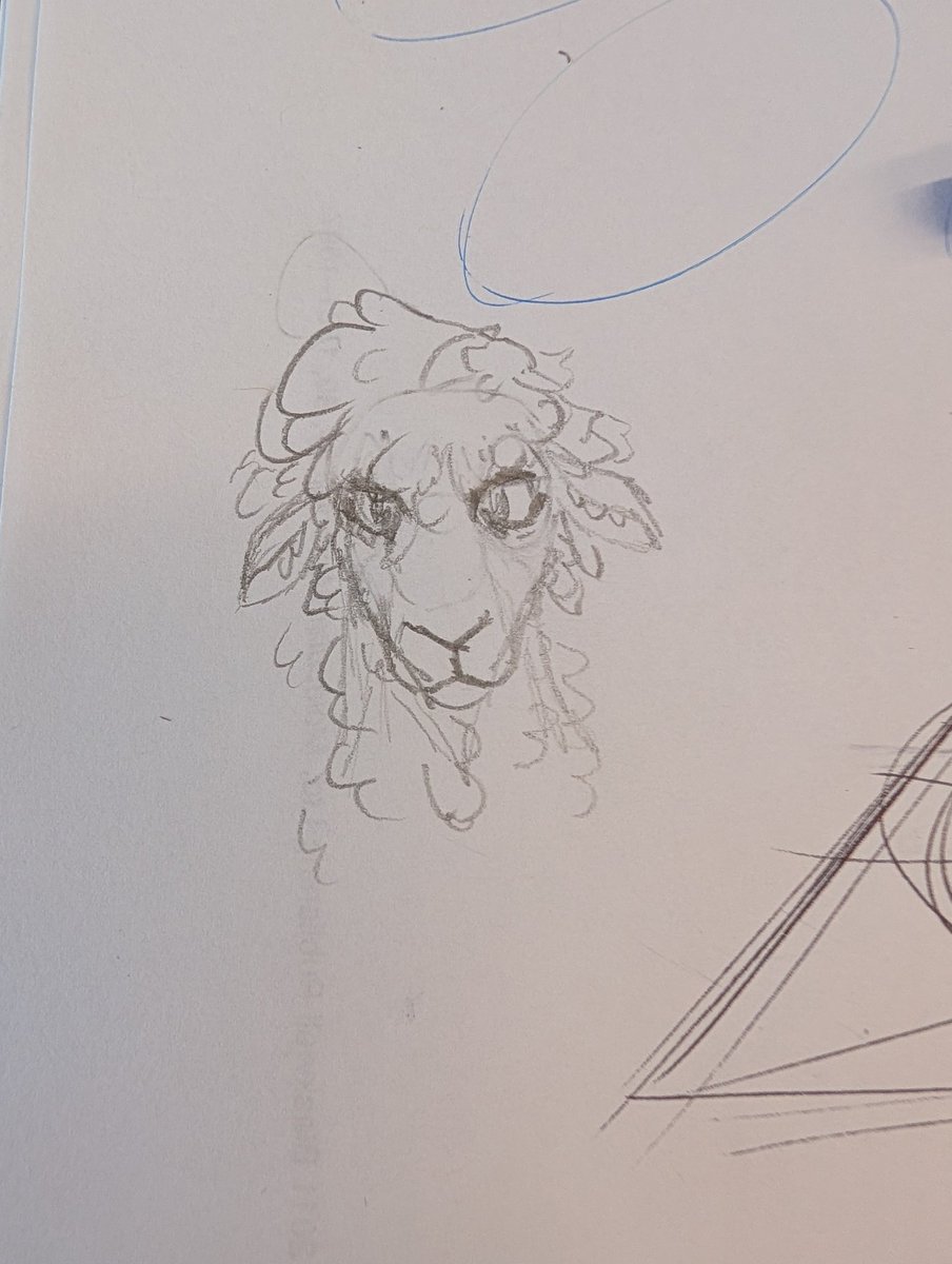 I've been learning how to; draw