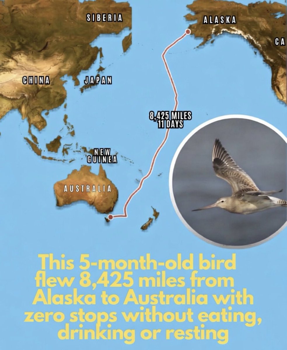 Science girl tweet media