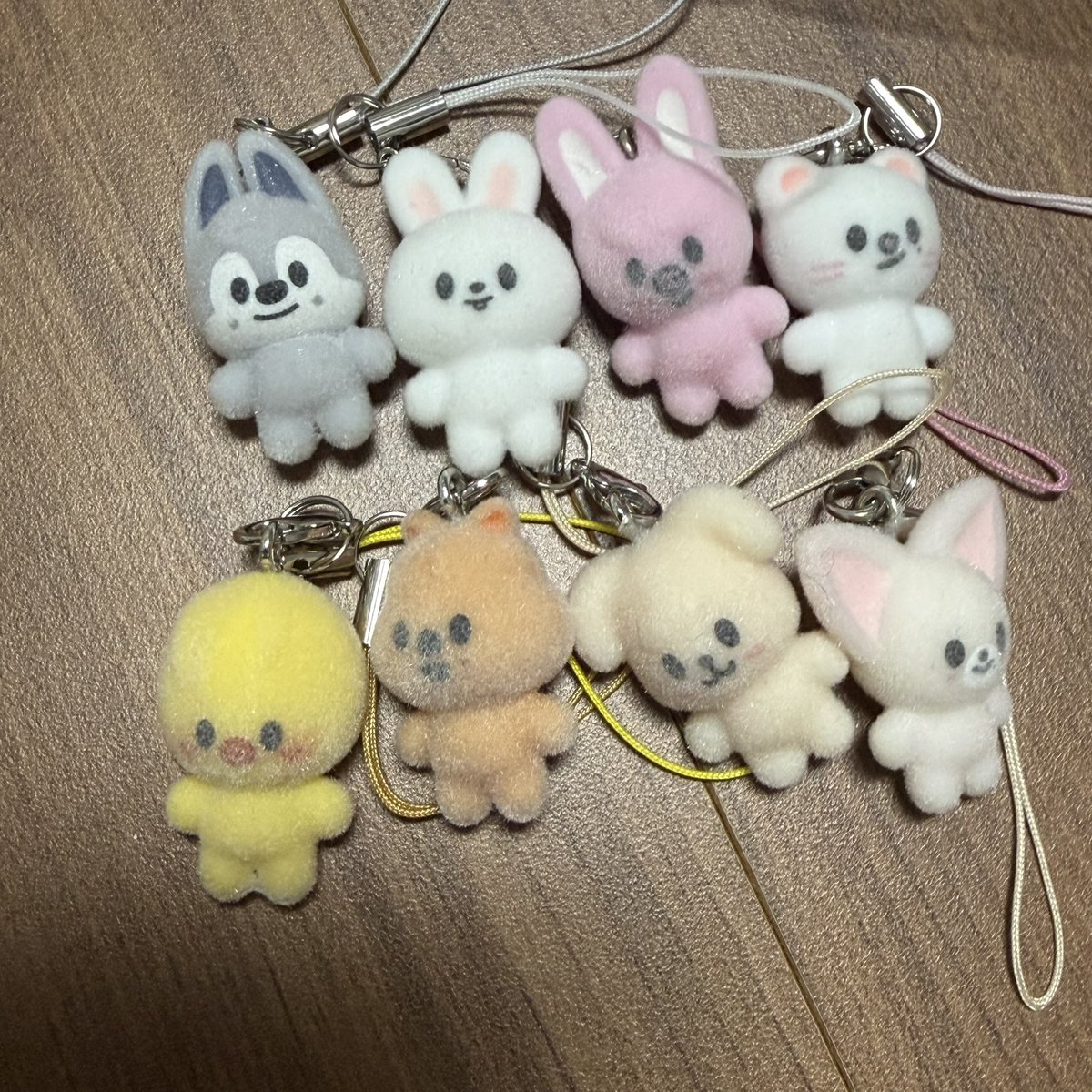 방찬을 보라 tweet media