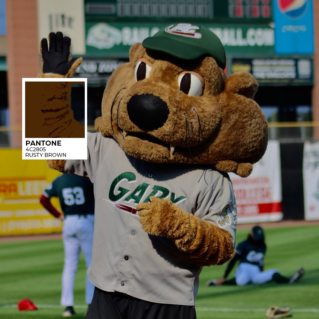 Gary SouthShore RailCats tweet media