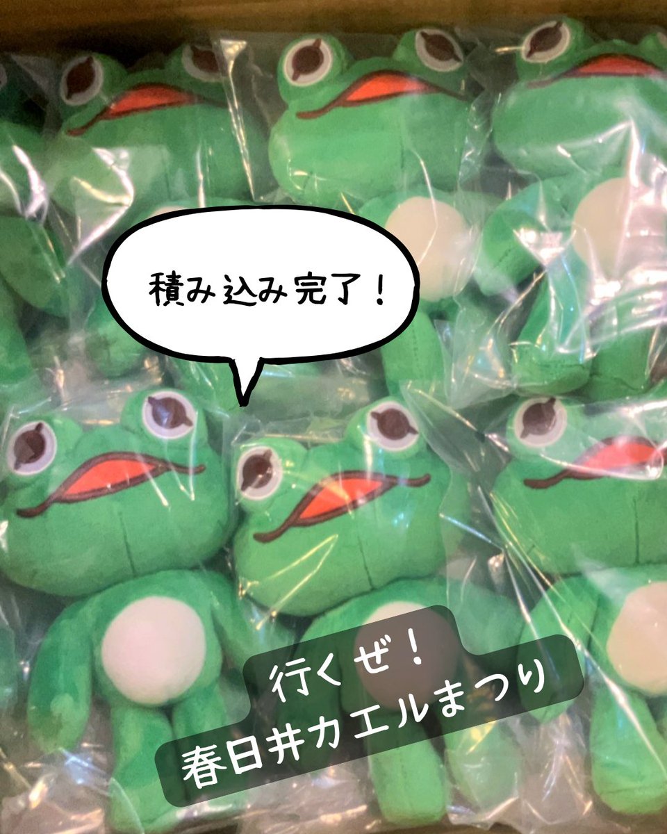 旅するカエル　プーリーズサウナ tweet media