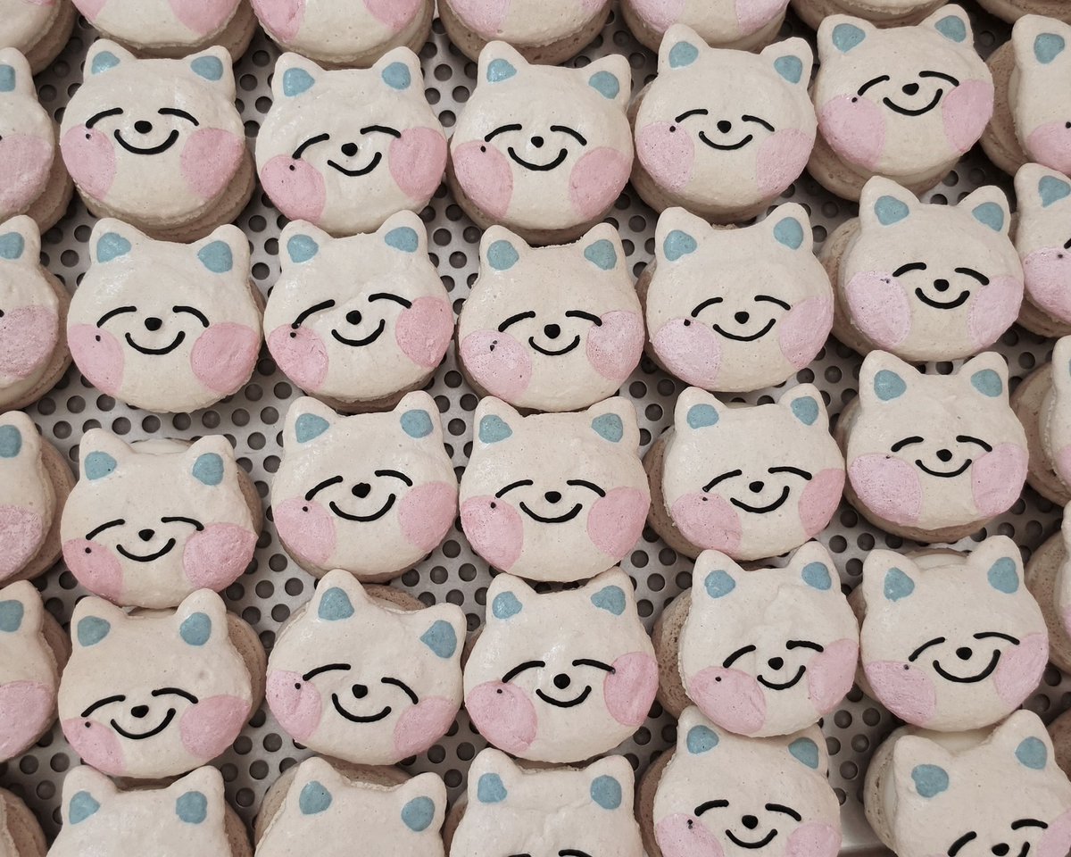 ᴢᴇɴᴏɪᴛʜ tweet media