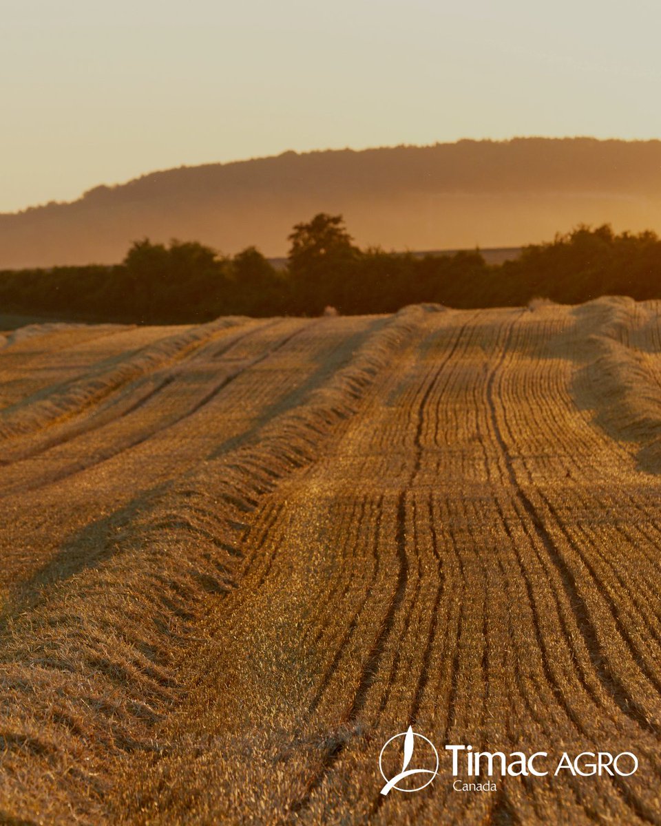 TimacAgroCanada's tweet photo. Even if the weather is still dragging its feet, the growing season is on its way. 

Now is the perfect time to connect with your local ATC and see how we can help you get ready for a strong start.

Find your ATC here https://t.co/Y12oJI6z68 https://t.co/zomTVNQlGL