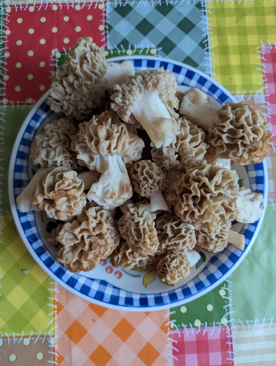 Кататравма и другие приключения жмурика tweet media