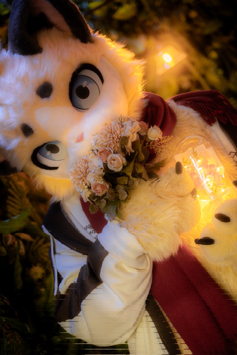 터리조아 tweet media