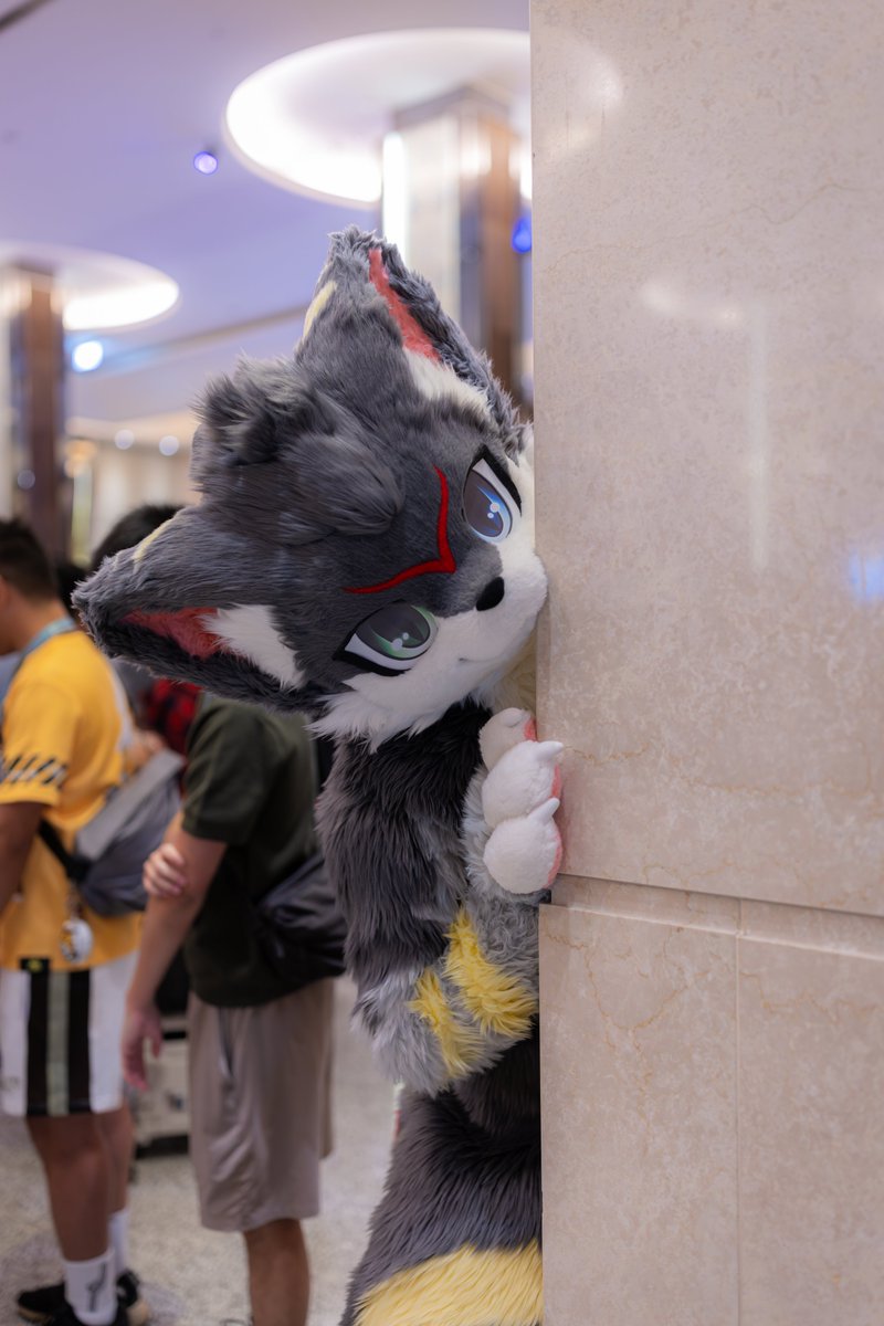 mikage1007's tweet photo. ここでちょっと暴れてもいい?（かおをだす)

📸:@dragon_ranga 

#FursuitsFriday
#furmony #鸿萌造物 https://t.co/PXLFrbi68s