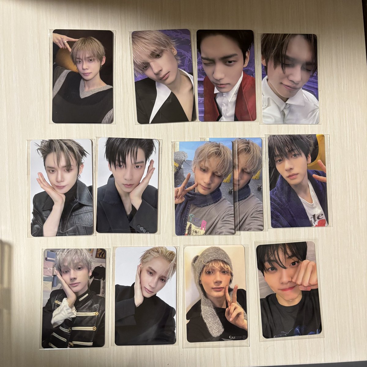 🐿🐱 tweet media