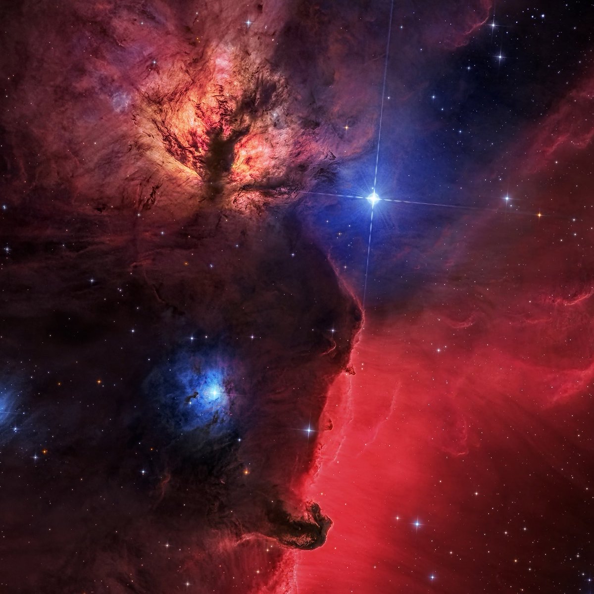 Andrew McCarthy tweet media