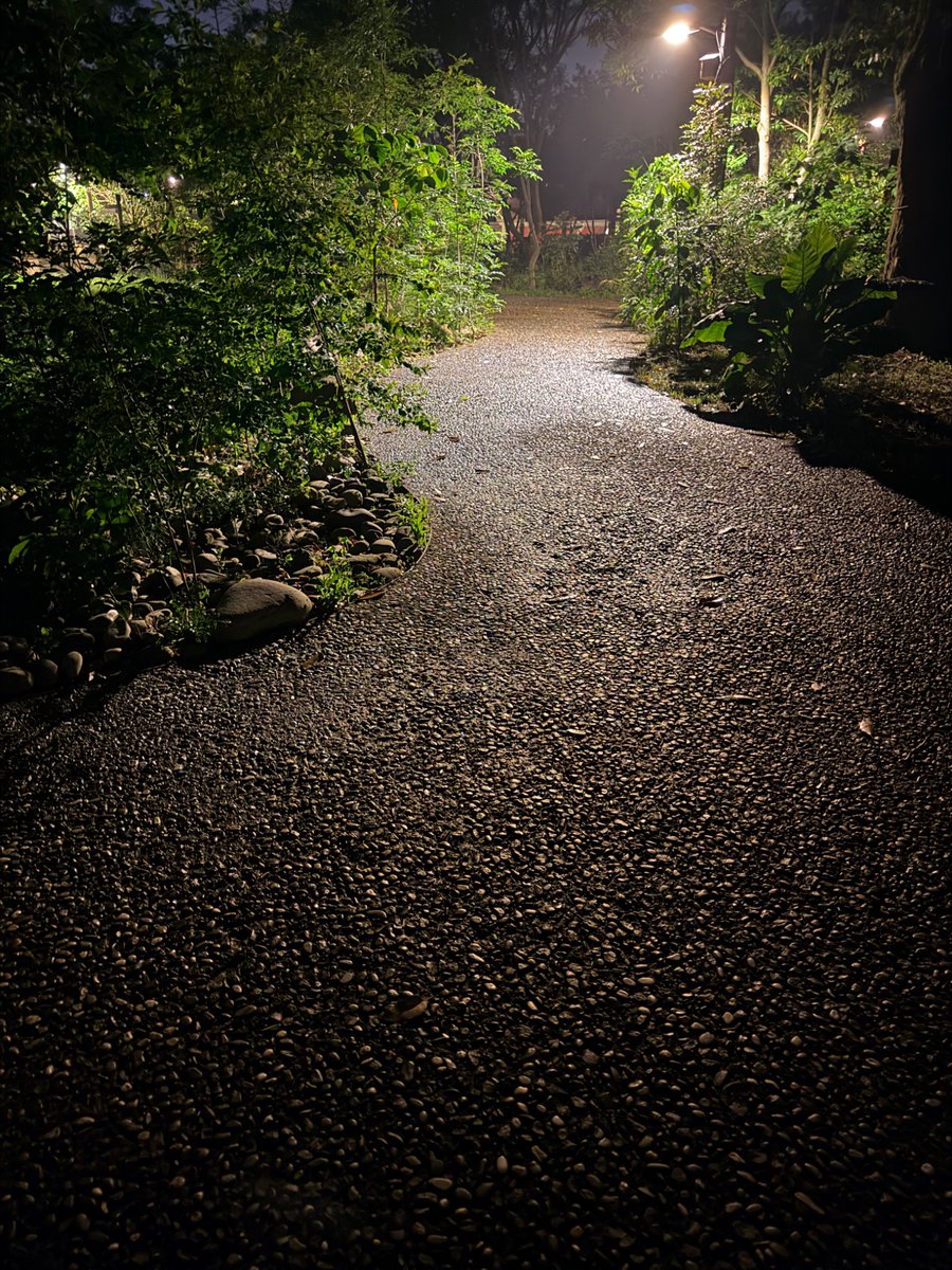 啊哩阿雜 tweet media