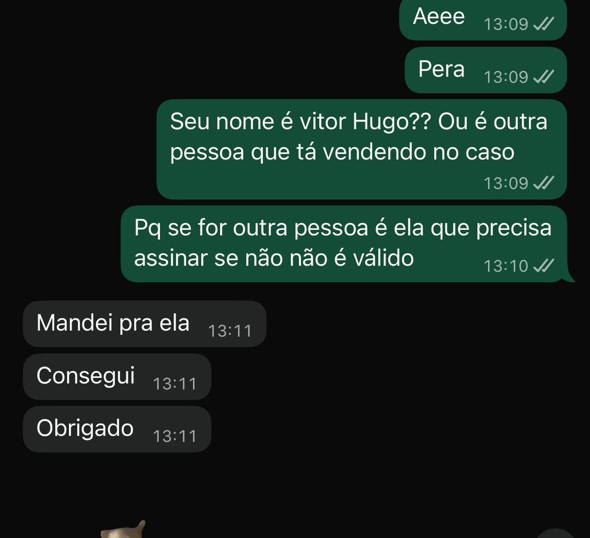 Caçadora de Golpistas tweet media