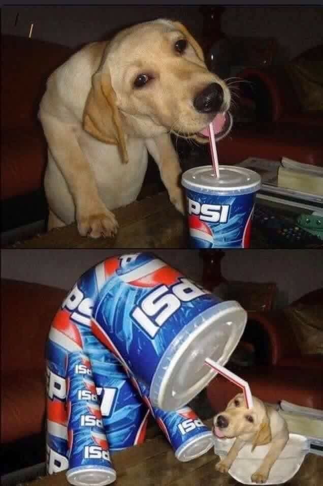 i like food tweet media