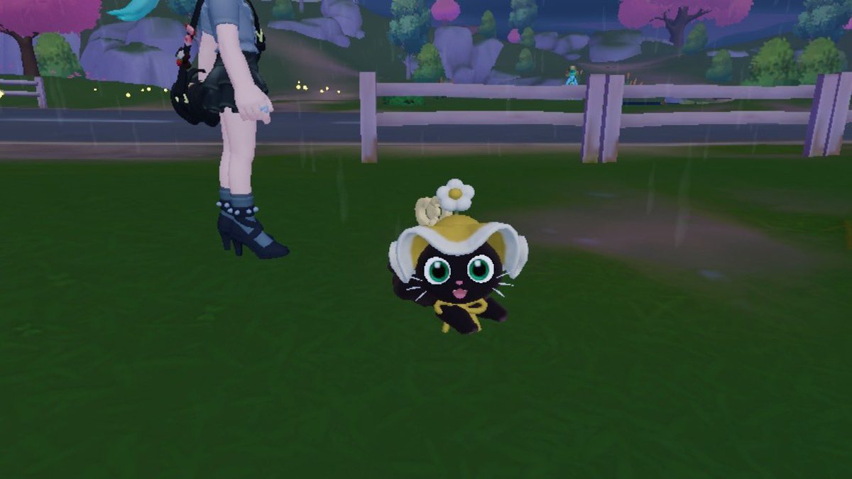 🍀にゃごん/みどり姉🐈‍⬛🐾 tweet media