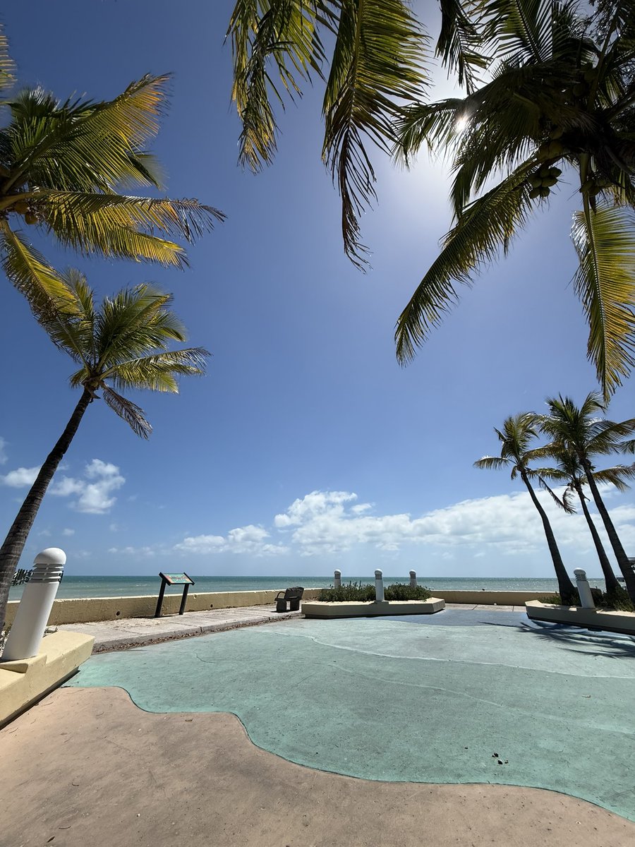 FloridaFLEA 😎🌴🏴‍☠️#GenX 🫡🇺🇸💜 tweet media