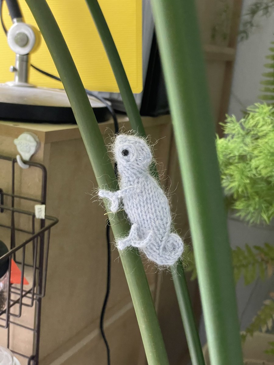 호럴로의 뜨개하는 집 tweet media