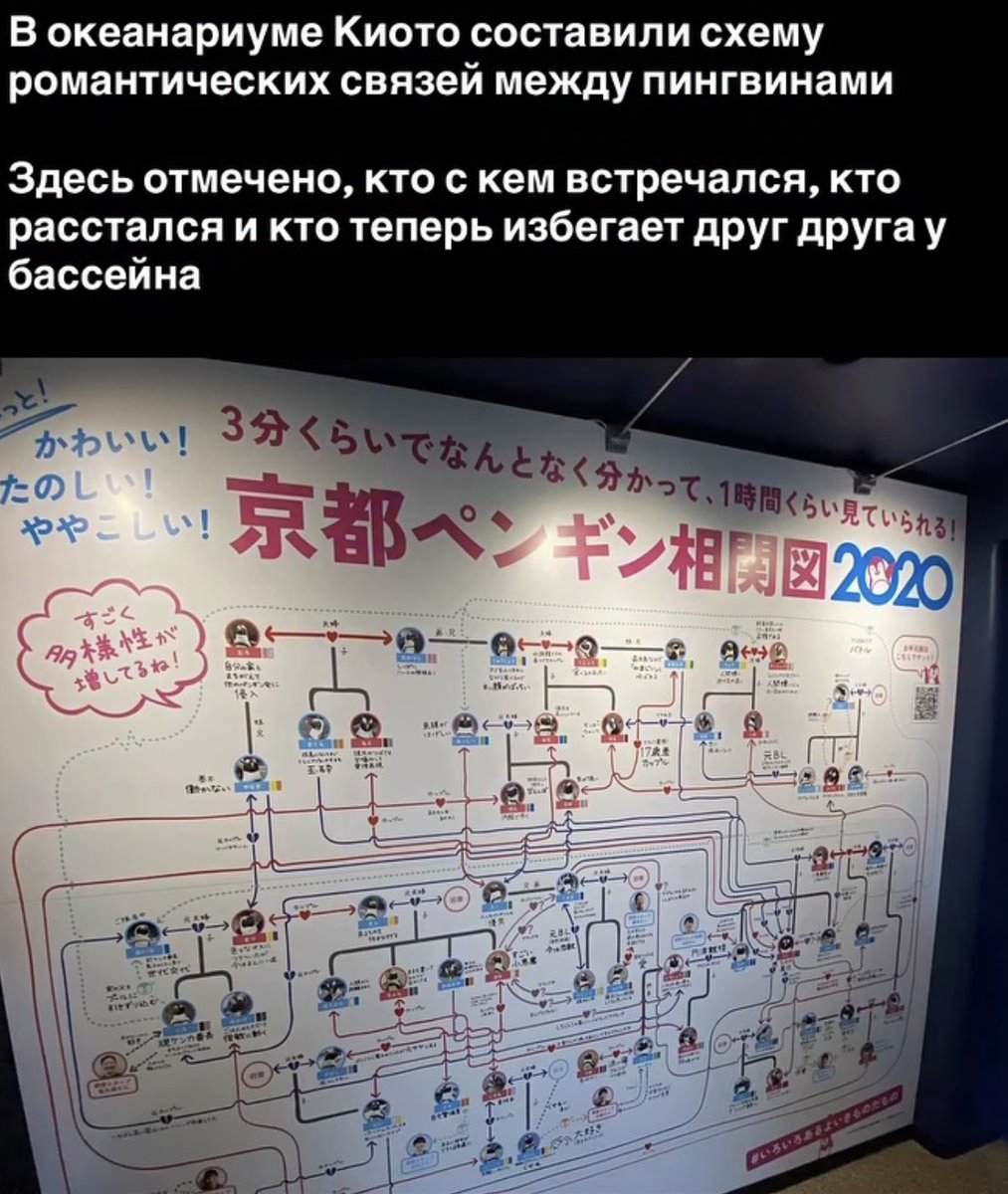 Дюшес tweet media
