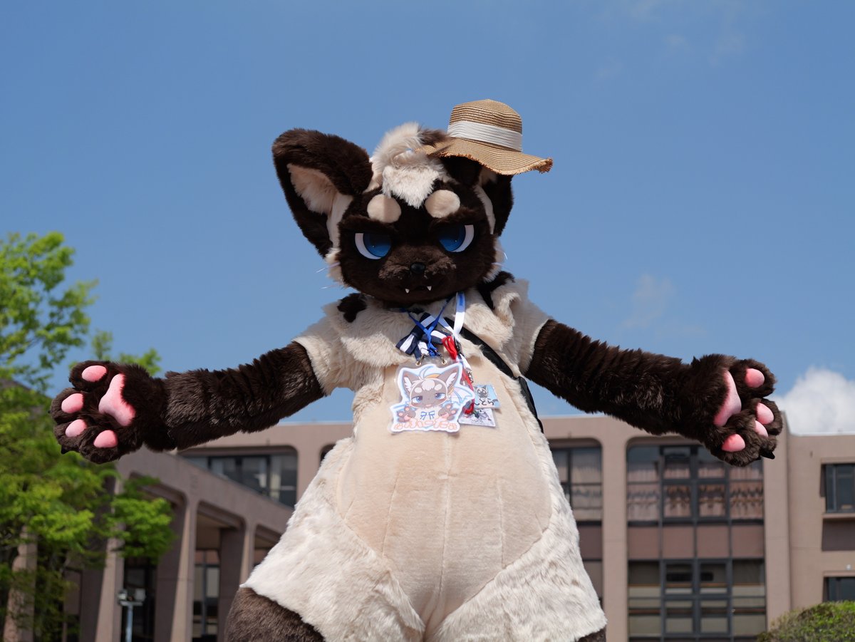 ふーた🐾🔜ケモノクロス？ tweet media