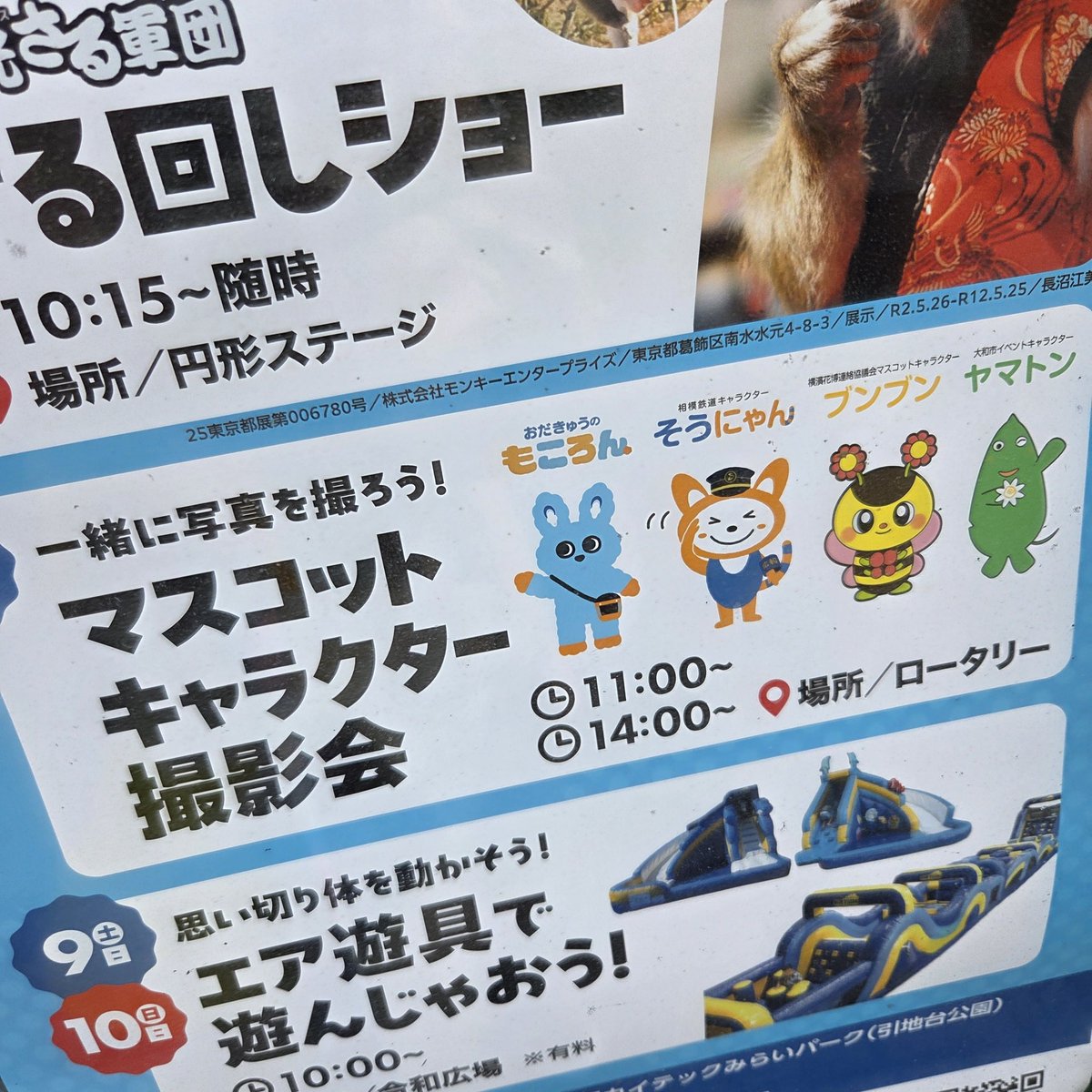 あきちゃん(*ΦωΦ) tweet media