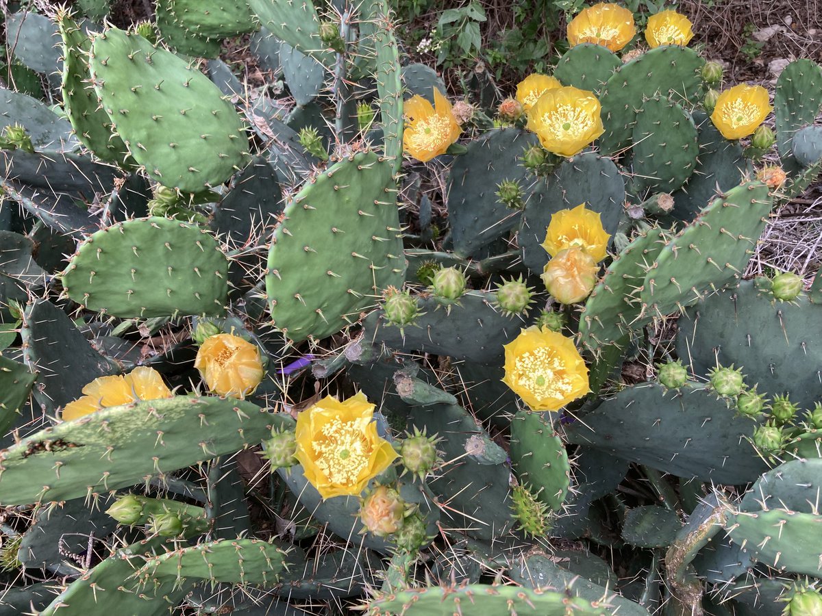 Scott Hendrix tweet media