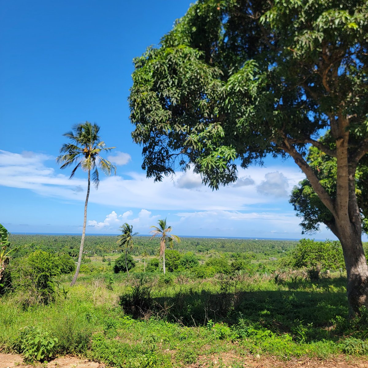 Muia 😎 tweet media