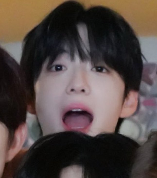 몽몽.. tweet media