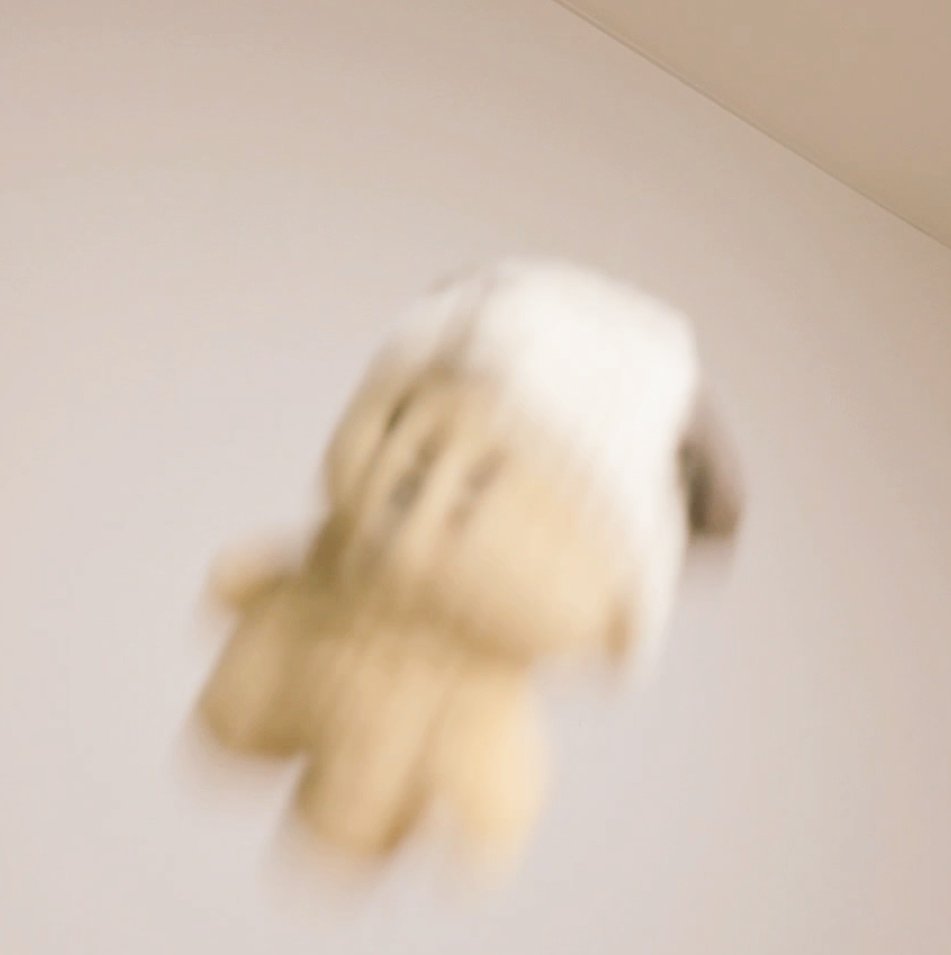 はこちゃん tweet media