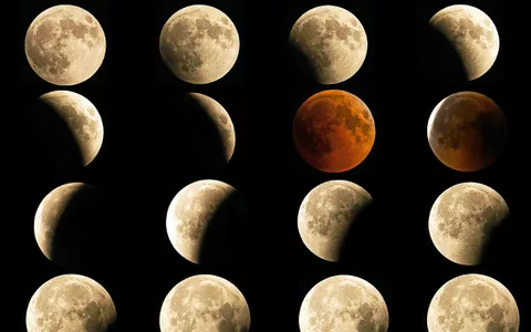 NEWS TV RÉAL tweet media