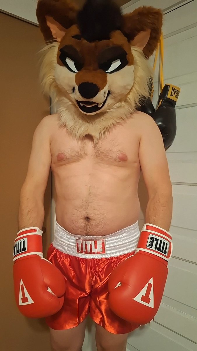 Picture by Zenith™ tweet media