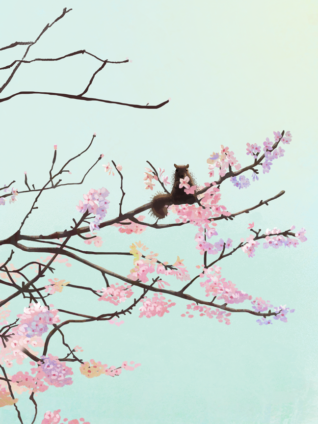 7xyuan✨ tweet media