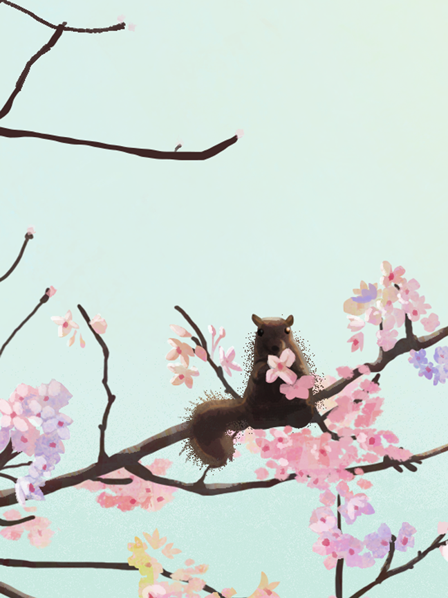 7xyuan✨ tweet media