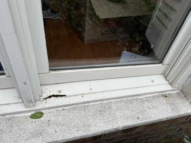 Mc_Toolman's tweet photo. Window sill repairs are more common than you think. @Mc_Toolman replaced this sill and sill nose, saving the customer from needing a full window replacement.  We do these repairs VERY often.  Don't let your home fall apart. Contact @Mc_Toolman!
https://t.co/8EoTV3ZUIW https://t.co/vTyE5nylkk