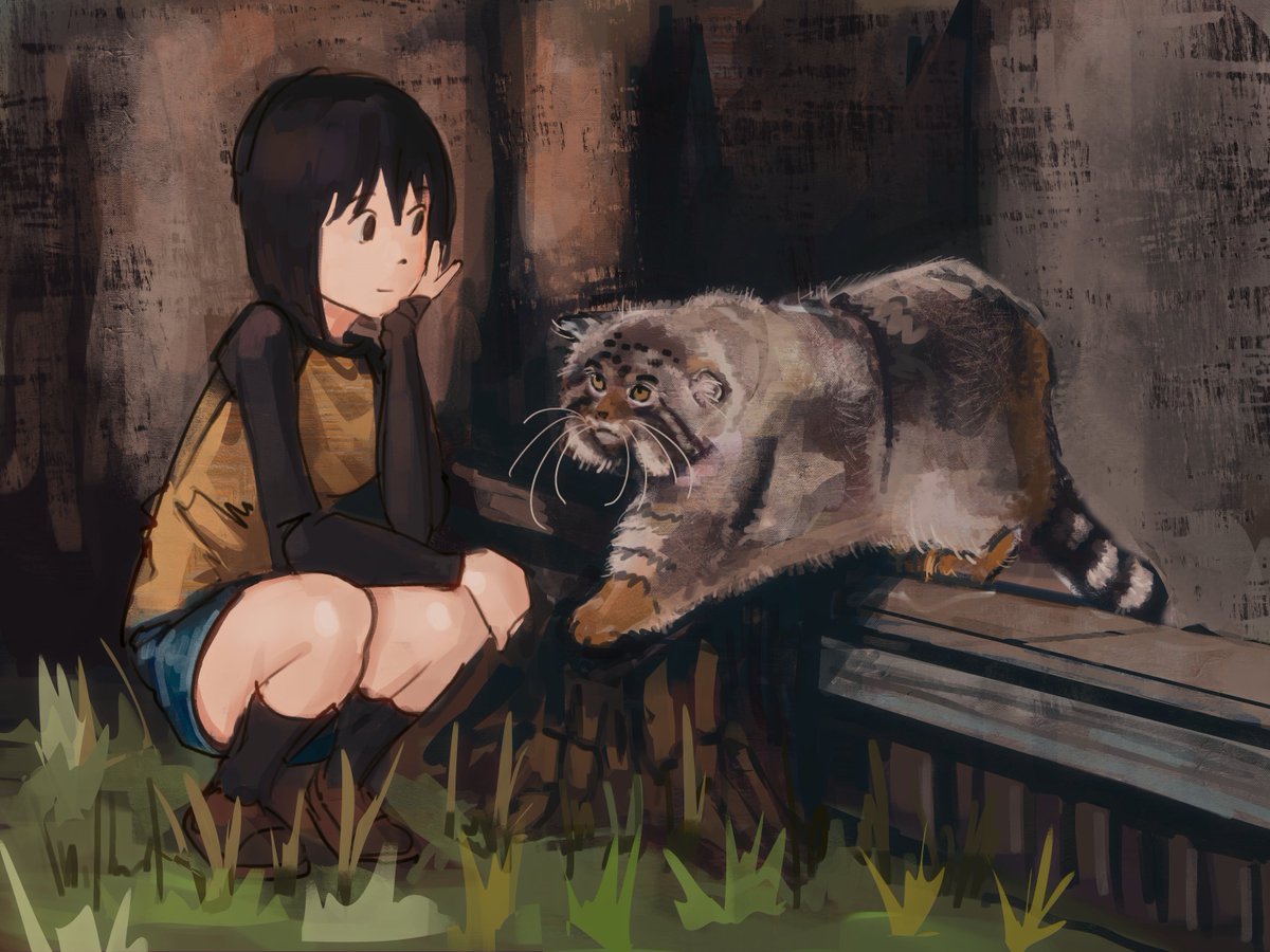 Рельсовод tweet media