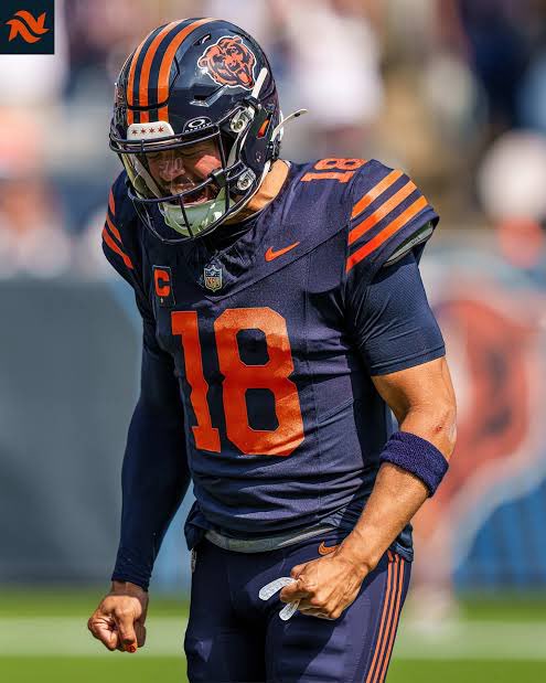 BearsMuse tweet media